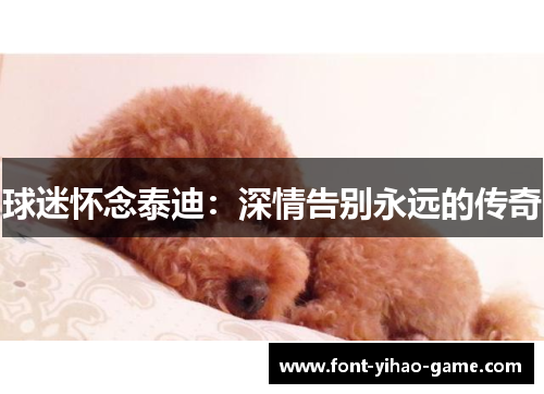 球迷怀念泰迪：深情告别永远的传奇
