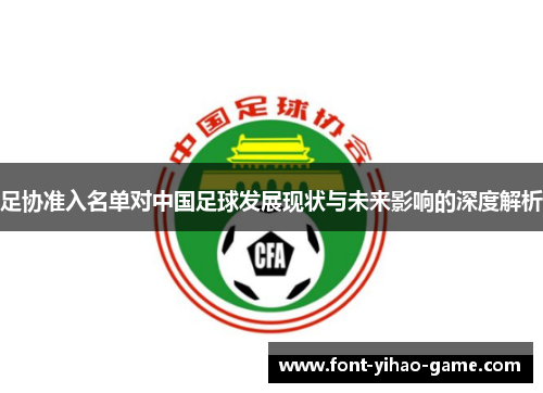 足协准入名单对中国足球发展现状与未来影响的深度解析