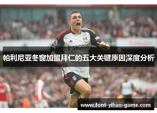 帕利尼亚冬窗加盟拜仁的五大关键原因深度分析 帕利尼亚冬窗加盟拜仁的五大关键原因深度分析