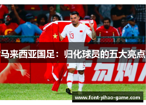 马来西亚国足:归化球员的五大亮点 马来西亚国足:归化球员的五大亮点